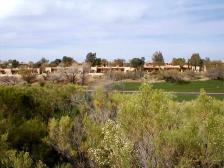 Hilton Tucson El Conquistador Resort