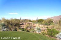 Desert Forest Golf Club