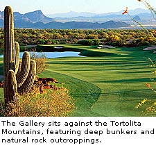 North Course at The Gallery