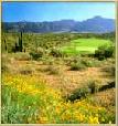 Gold Canyon Golf Resort 