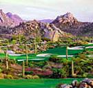 Kierland's Acacia Nine