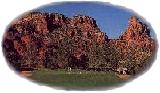 Sedona's Oak Creek Canyon