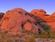 papago