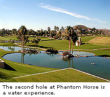 Phantom Horse