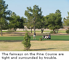 The Pine Course