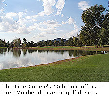 The Pine Course's 15th