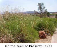 Prescott Lakes Golf 