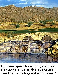 The Raven at Verrado Bridge