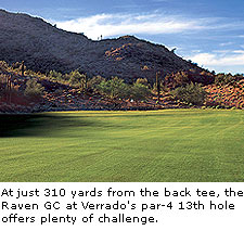 The Raven at Verrado