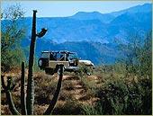 Resort Suites of Scottsdale