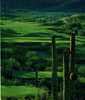 Starr Pass Golf Club