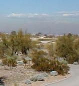 Thunderbirds Golf Club