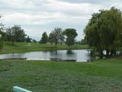 Turquoise Valley Golf Club