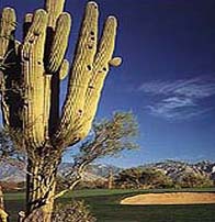 Vistoso Golf Club