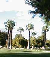 Wigwam Resort