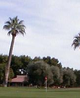 Wigwam Resort