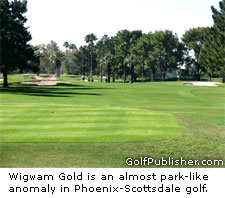 Wigwam Gold Trees