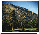 Elden Hills