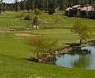 Elden Hills