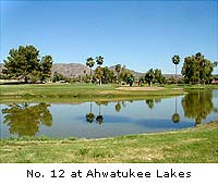 The Lakes at Ahwatukee