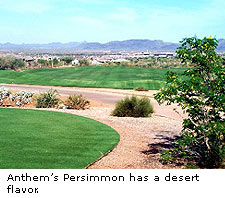 Anthem Country Club