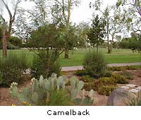 Sand Wedge Ready for Camelback