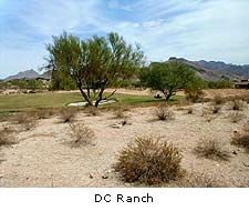 DC Ranch
