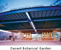 desert botanical