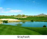 Grayhawk