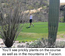 Tucson Golf Cactus - Starr Pass