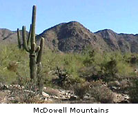 mcdowell mountains
