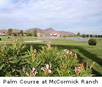 McDowell Mountains