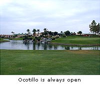 ocotillo