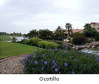 ocotillo canals