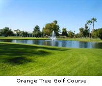 orange tree