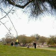 TPC (Tournament Players Club) Stadium Course in Scottsdale