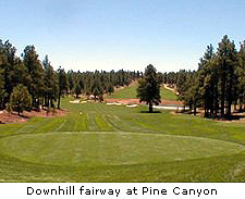 Pine Canyon