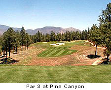 Pine Canyon