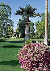 scottsdale