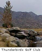Thunderbirds Golf Club