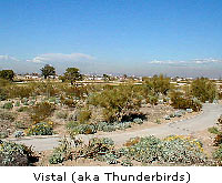 Vistal