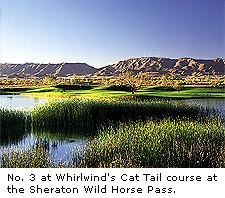 Whirlwind Cat Tail Course