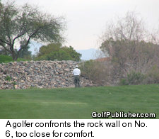 Coyote Lakes Golf Club in Surprise