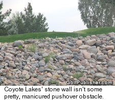 Coyote Lakes Golf Club in Surprise
