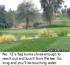 Coyote Lakes Golf Club in Surprise