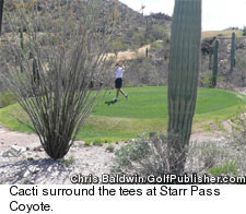 Starr Pass Coyote - Cactus Tees