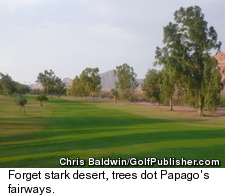 Papago Golf Course in Phoenix - Trees