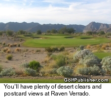 Desert views at Raven Verrado