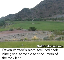 Raven at Verrado back nine