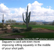 Saguaro Course - Hulking Cactus